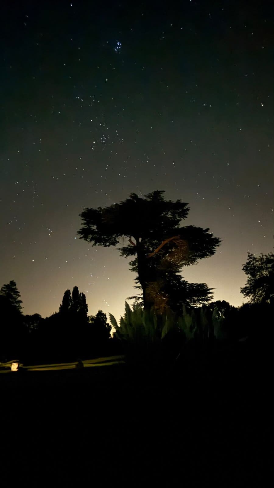 Le parc du domaine sous un ciel étoilé