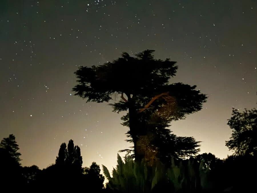 The grounds of the estate under a starry sky